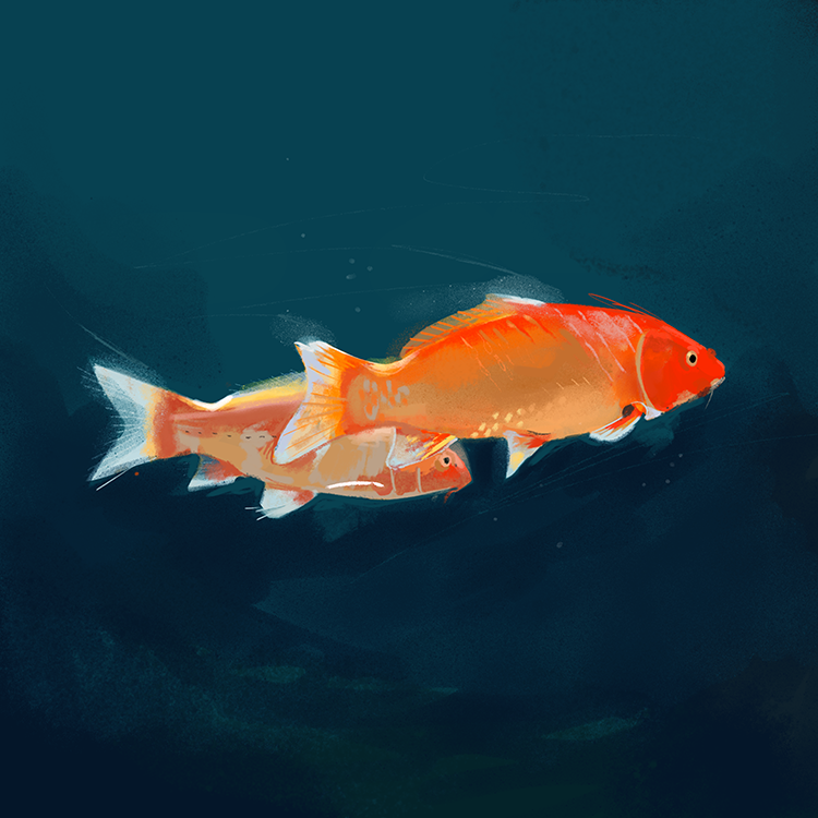 Illustration av två orangea fiskar av Frida Hagman