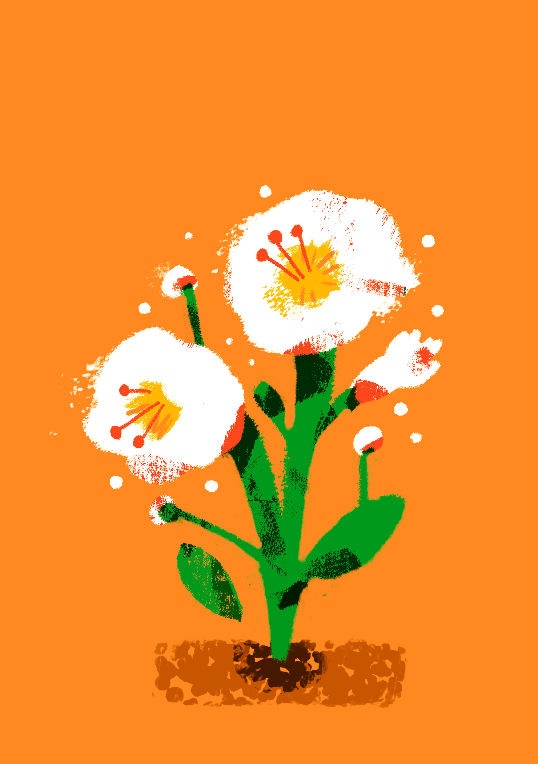 Abstrakt illustration av en vit blomma av Frida Hagman