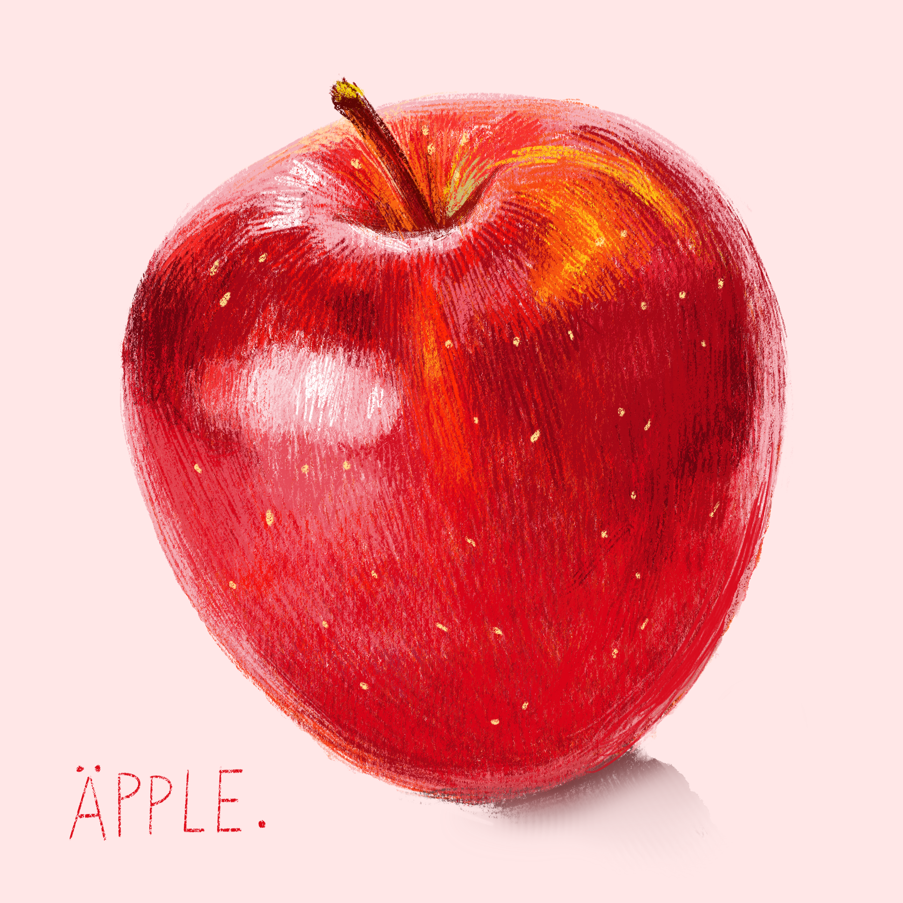 Illustration av ett äpple av Frida Hagman