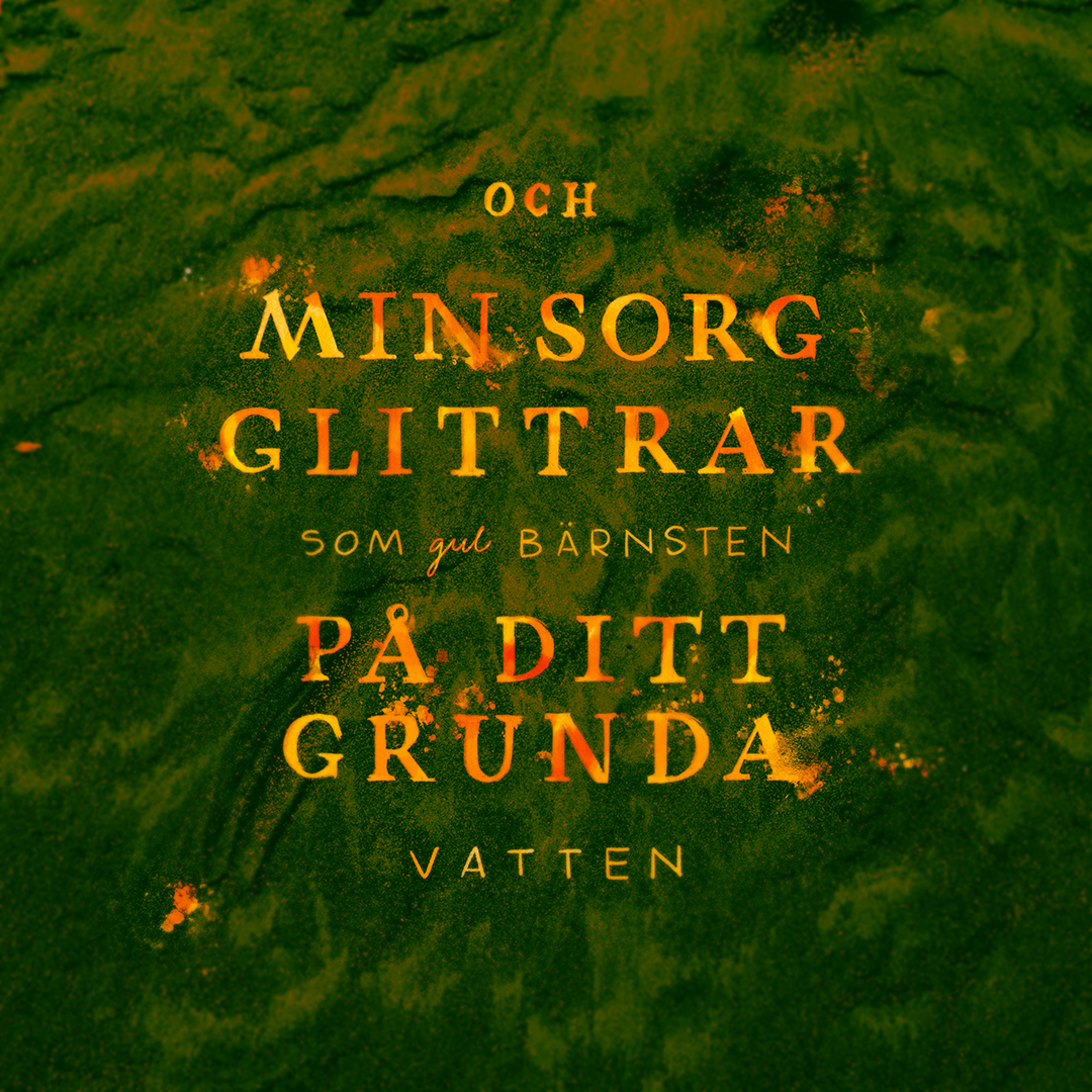 Illustration med handlettering av Frida Hagman: Min sorg glittrar som gul bärnsten på ditt grunda vatten