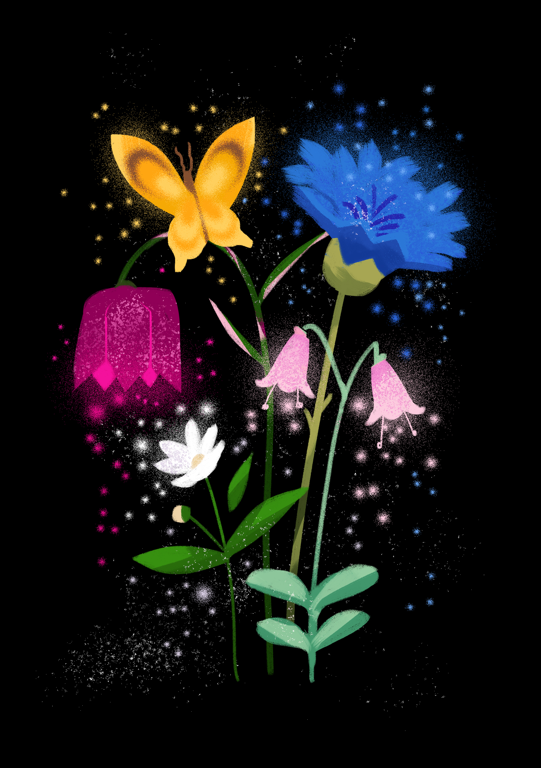Illustration av landsskapsblommorna från Småland, Värmland, Östergötland och Uppland av Frida Hagman